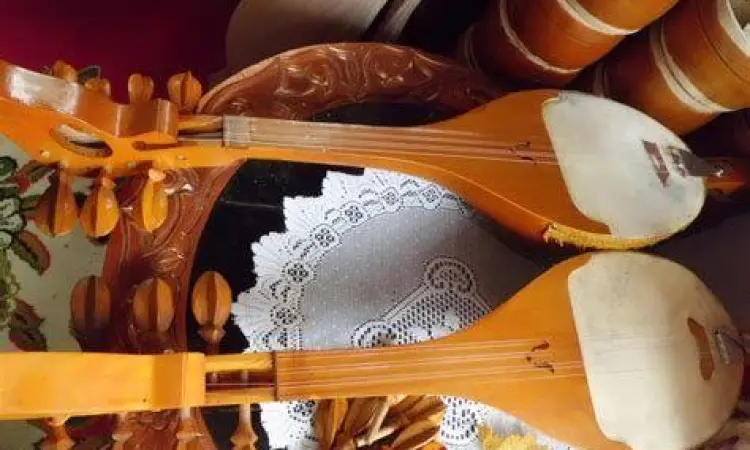 instrumen musik instrumen musik melayu modern