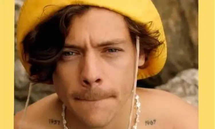 Harry Styles Topi Kuning