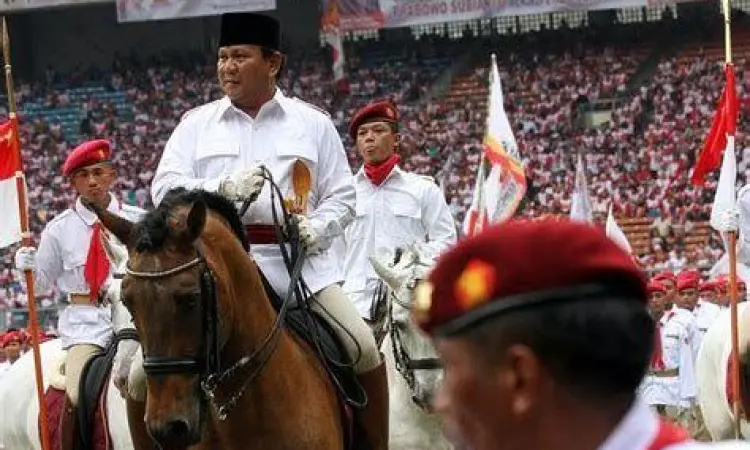 Kuda Lusitano Prabowo Kuda-kuda milik Prabowo Subianto di istal Hambalang