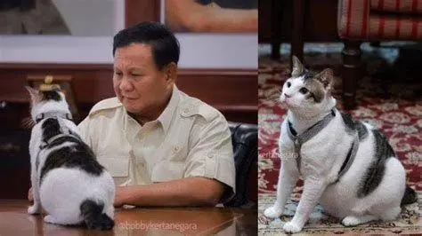 Bobby Kertanegara Sang Penguasa Kertanegara Bobby Kertanegara duduk di meja rapat Prabowo