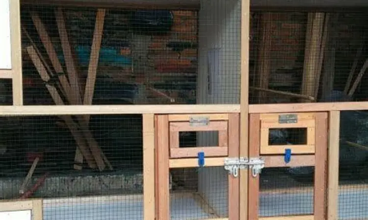 Foto potret resmi kenegaraan Prabowo Gibran