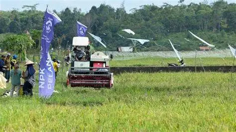 Swasembada Pangan Modernisasi pertanian di lahan food estate