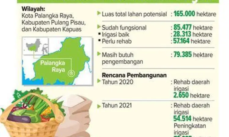 Lahan proyek Food Estate di Kalimantan