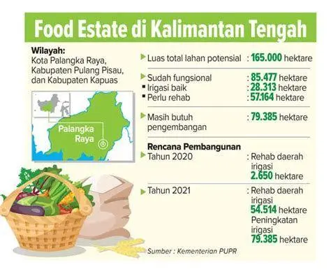 Proyek Food Estate Lahan proyek Food Estate di Kalimantan