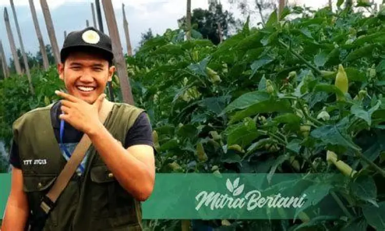 Generasi Baru Petani Petani muda sukses di lahan modern