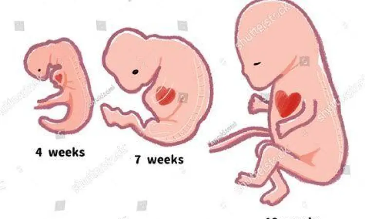 Soemitro Djojohadikusumo Soemitro Djojohadikusumo ayah dari Prabowo Subianto
