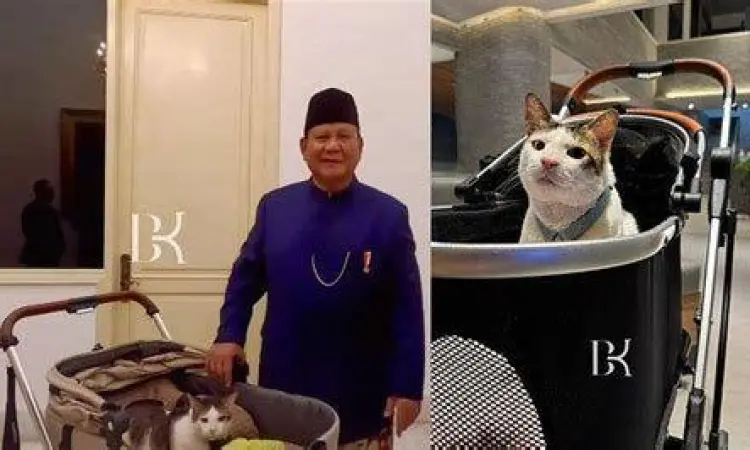 Prabowo Subianto sedang menggendong kucing kesayangannya Bobby