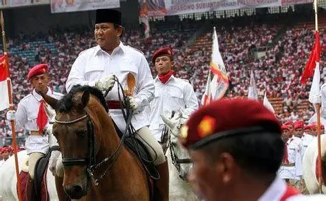 Kuda Lusitano Prabowo Subianto Koleksi kuda Lusitano milik Prabowo di Hambalang
