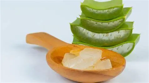 Aktivis Reformasi 1998 Demonstrasi mahasiswa 1998 menuntut reformasi