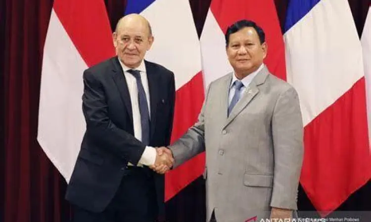 Diplomasi Pertahanan Prabowo Diplomasi pertahanan Menteri Pertahanan Prabowo ke luar negeri