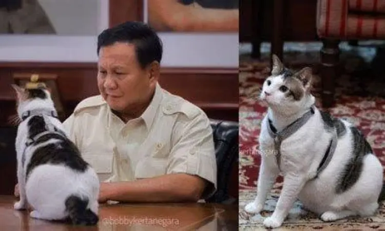 Ilustrasi Prabowo Subianto dengan kucing peliharaannya Bobby