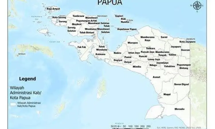 Lokasi Operasi Mapenduma di Papua
