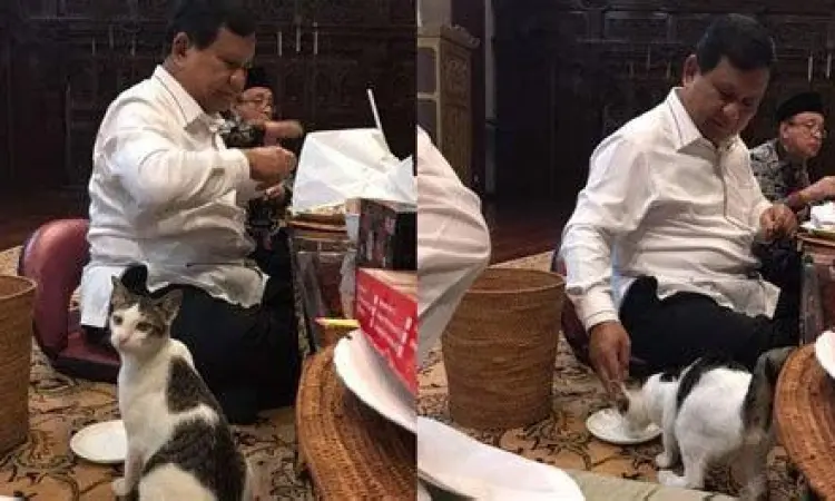 Aksi Humanis Prabowo terhadap Hewan Prabowo Subianto berinteraksi dengan kucing jalanan