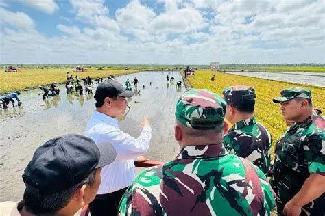 Lahan Pertanian Merauke Lahan pertanian modern di Merauke Papua